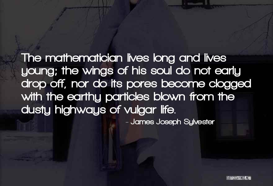 Affliated Quotes By James Joseph Sylvester Affliated Quotes By James Joseph Sylvester