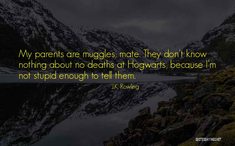 Affluence Defense Quotes By J.K. Rowling Affluence Defense Quotes By J.K. Rowling