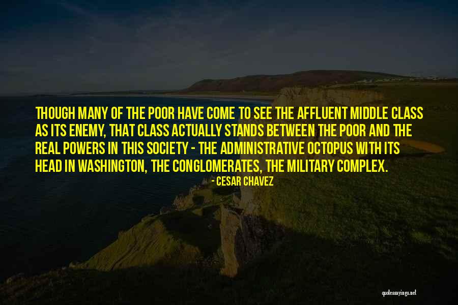 Affluent Society Quotes By Cesar Chavez