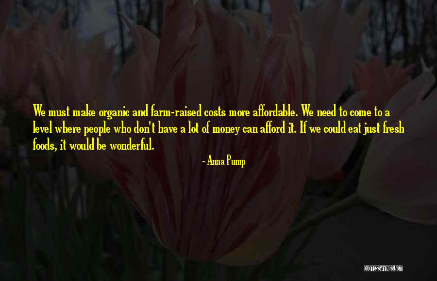 Afford Money Quotes By Anna Pump Afford Money Quotes By Anna Pump