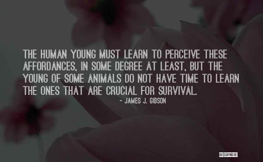 Affordances Quotes By James J. Gibson Affordances Quotes By James J. Gibson