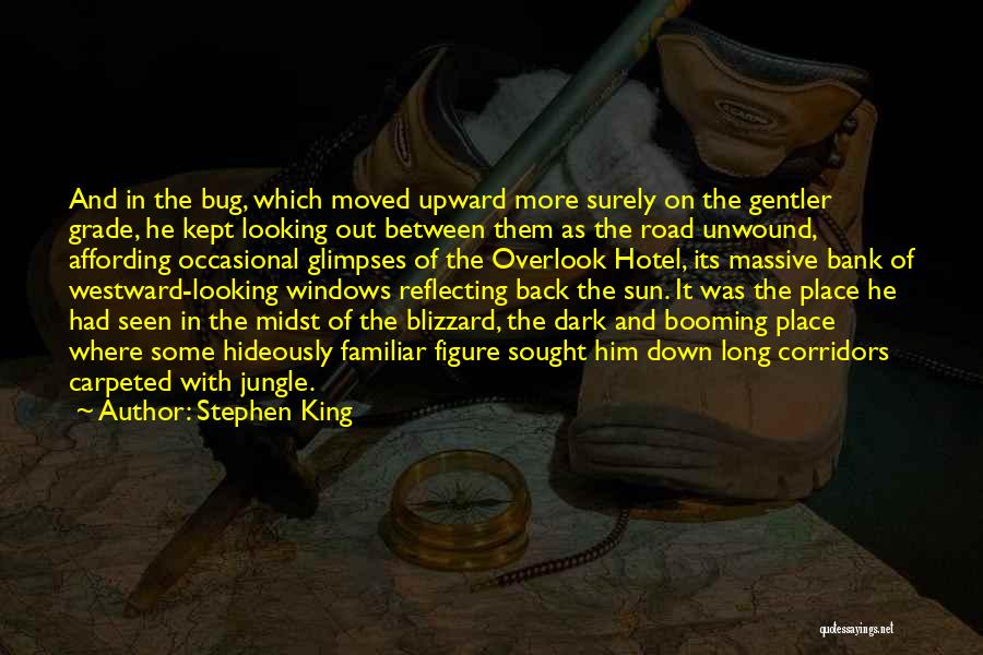 Affording Things Quotes By Stephen King