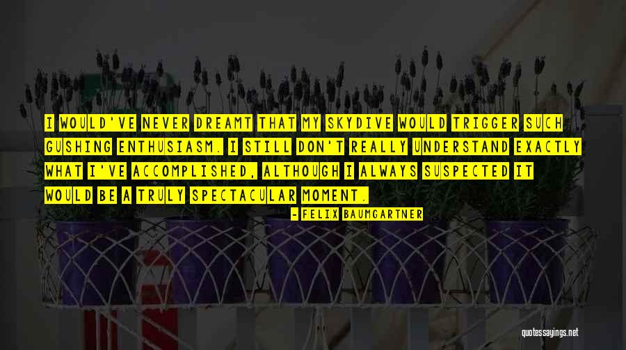 Affreux Plural Quotes By Felix Baumgartner Affreux Plural Quotes By Felix Baumgartner