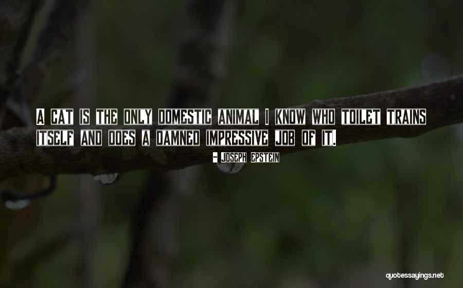 Affright Synonyms Quotes By Joseph Epstein Affright Synonyms Quotes By Joseph Epstein