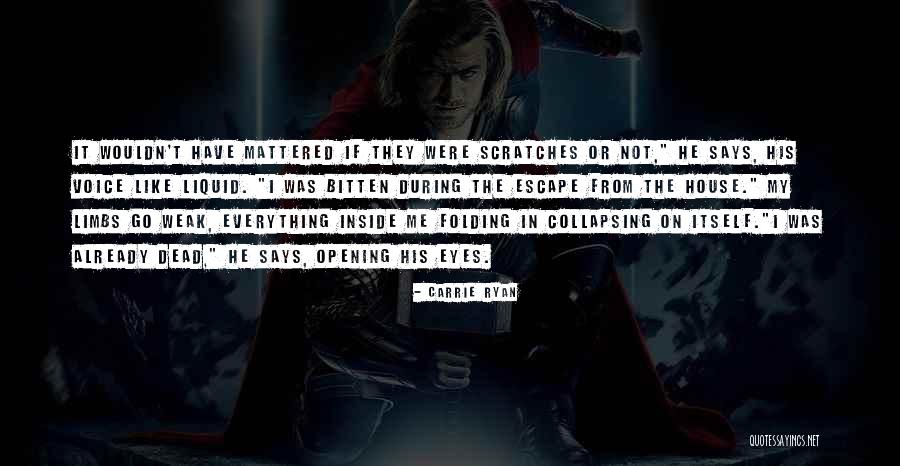 Affront Def Quotes By Carrie Ryan Affront Def Quotes By Carrie Ryan