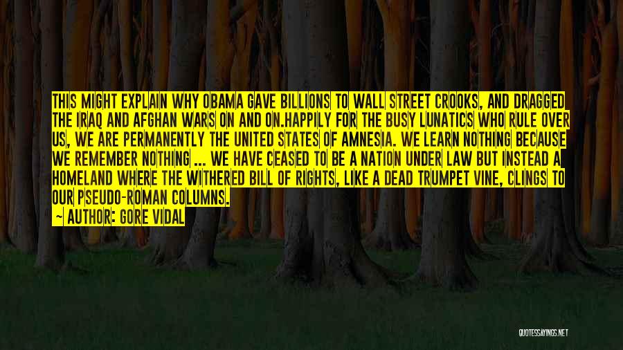 Afghan War Quotes By Gore Vidal