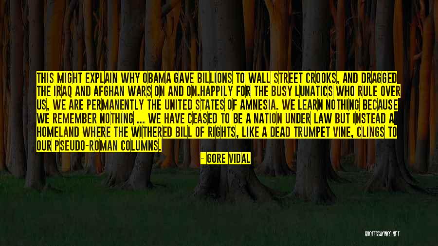 Afghan War Quotes By Gore Vidal