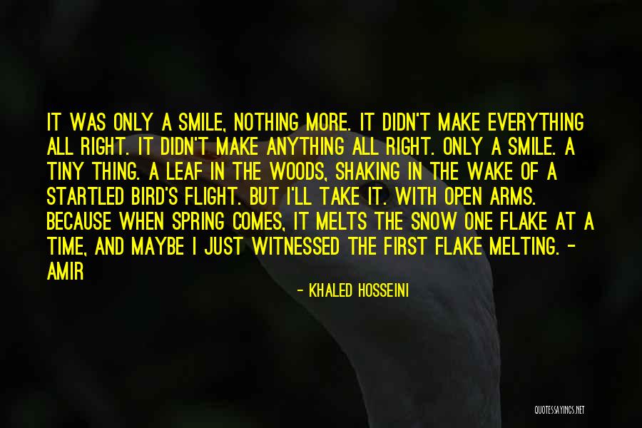 Afghanistan In The Kite Runner Quotes By Khaled Hosseini Afghanistan In The Kite Runner Quotes By Khaled Hosseini