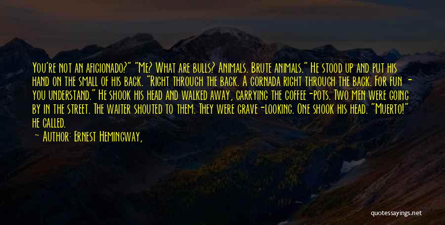 Aficionado Quotes By Ernest Hemingway,