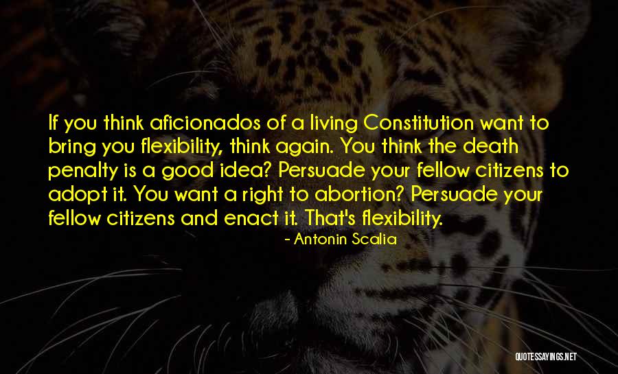 Aficionados Quotes By Antonin Scalia Aficionados Quotes By Antonin Scalia