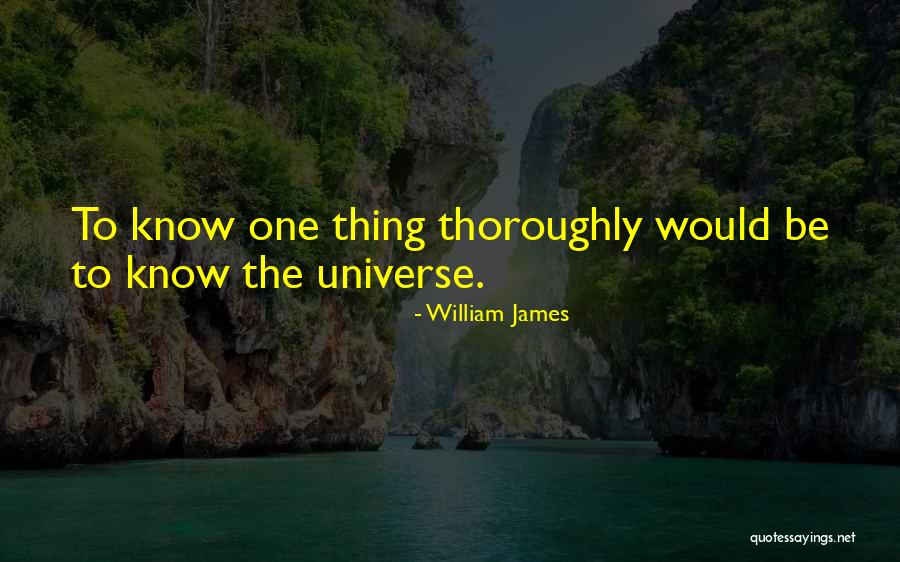 Afiliacion Al Quotes By William James Afiliacion Al Quotes By William James