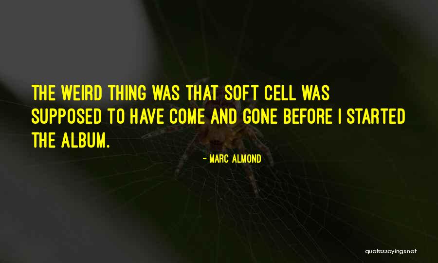 Afinidades Definicion Quotes By Marc Almond Afinidades Definicion Quotes By Marc Almond