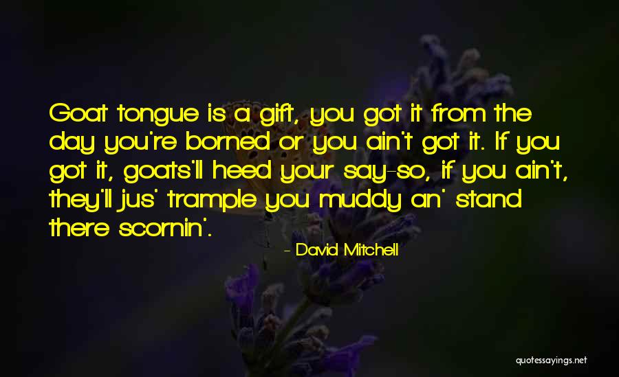 Afirmar Significado Quotes By David Mitchell Afirmar Significado Quotes By David Mitchell