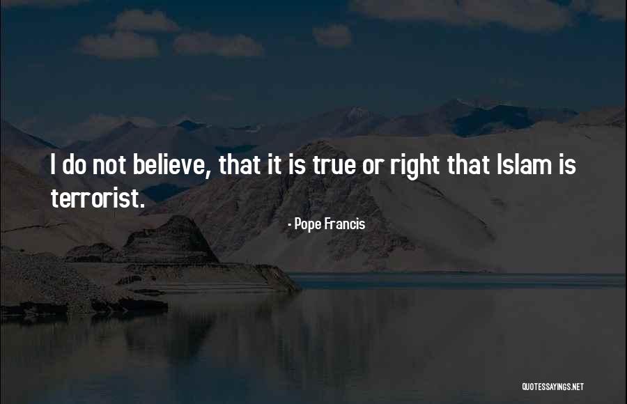 Afirmativo Quotes By Pope Francis