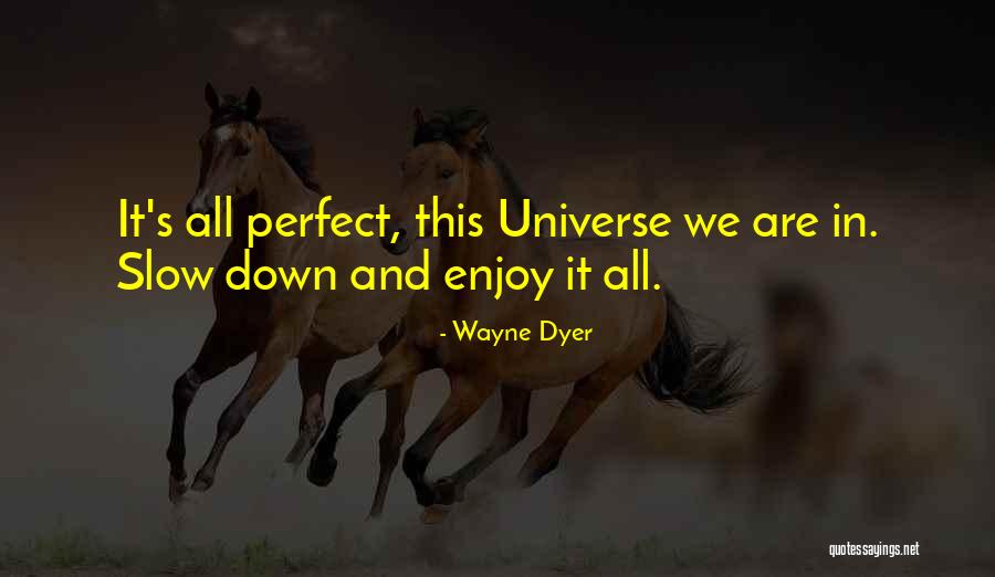 Afke Reyenga Quotes By Wayne Dyer Afke Reyenga Quotes By Wayne Dyer