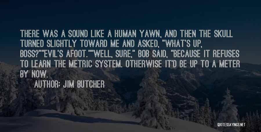 Afoot Quotes By Jim Butcher