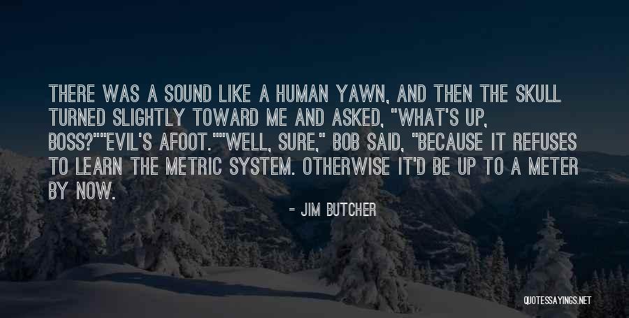 Afoot Quotes By Jim Butcher