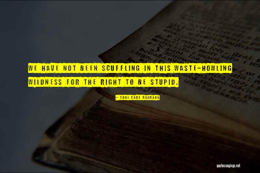 Aforetime Bible Quotes By Toni Cade Bambara Aforetime Bible Quotes By Toni Cade Bambara