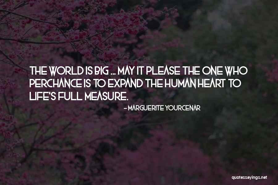 Aformacoes Quotes By Marguerite Yourcenar Aformacoes Quotes By Marguerite Yourcenar