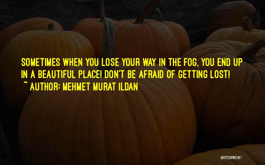 Afraid Lose You Quotes By Mehmet Murat Ildan