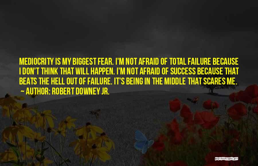 Afraid Of Failure Quotes By Robert Downey Jr.