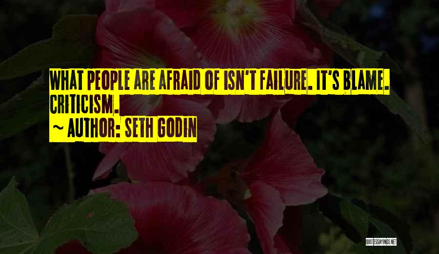 Afraid Of Failure Quotes By Seth Godin