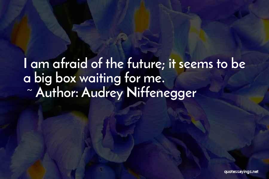 Afraid Of The Future Quotes By Audrey Niffenegger