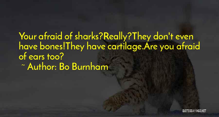 Afraid Quotes By Bo Burnham