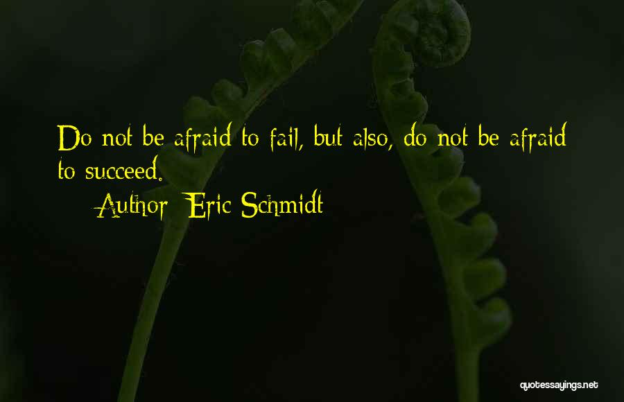 Afraid To Fail Quotes By Eric Schmidt