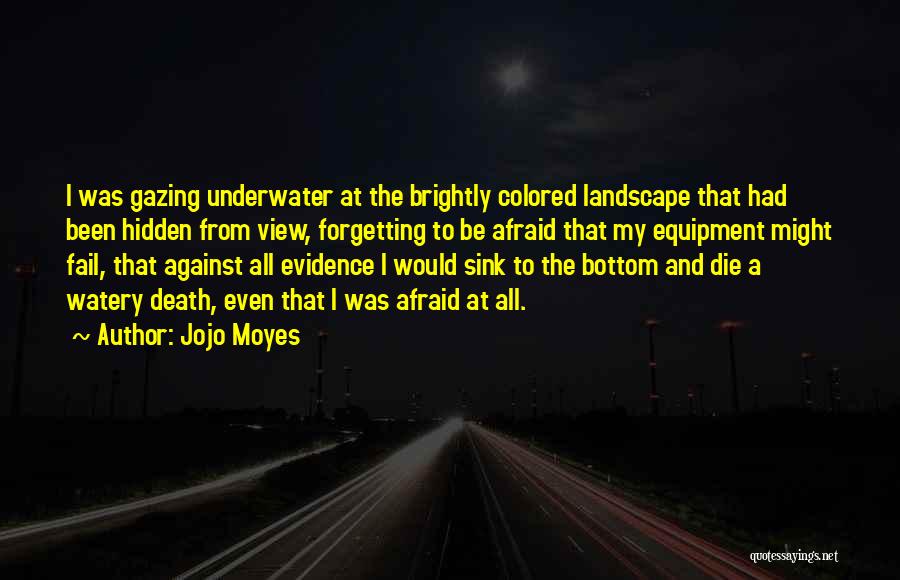 Afraid To Fail Quotes By Jojo Moyes