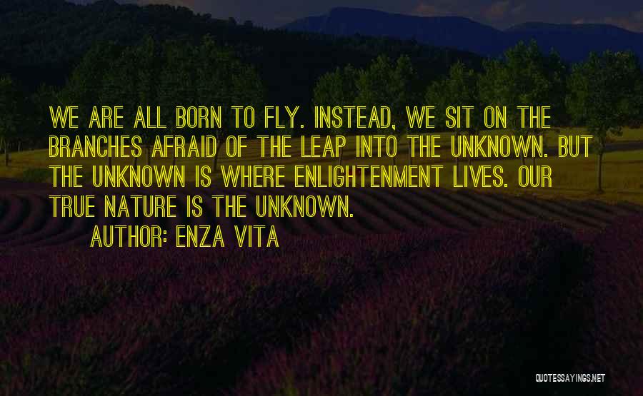 Afraid To Fly Quotes By Enza Vita