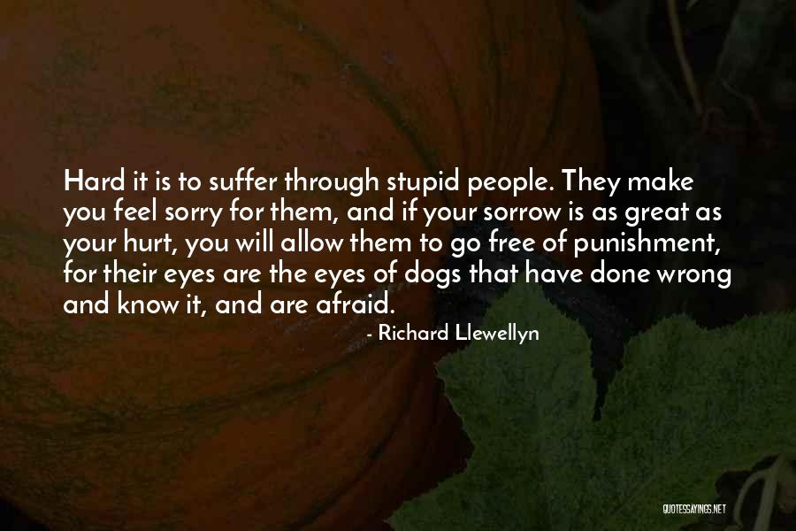 Afraid To Get Hurt Quotes By Richard Llewellyn