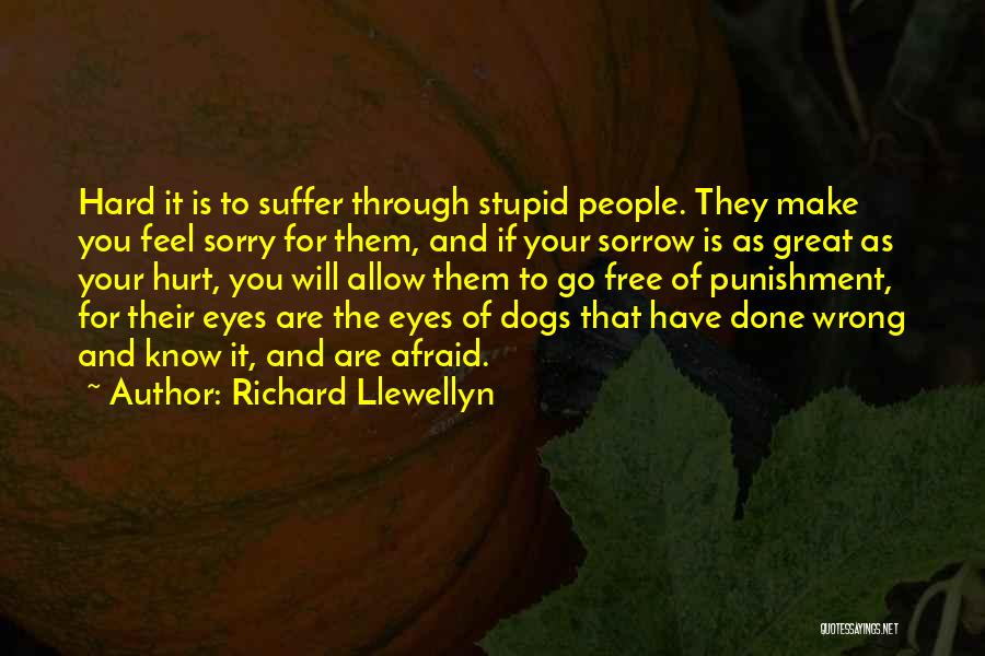 Afraid To Hurt You Quotes By Richard Llewellyn