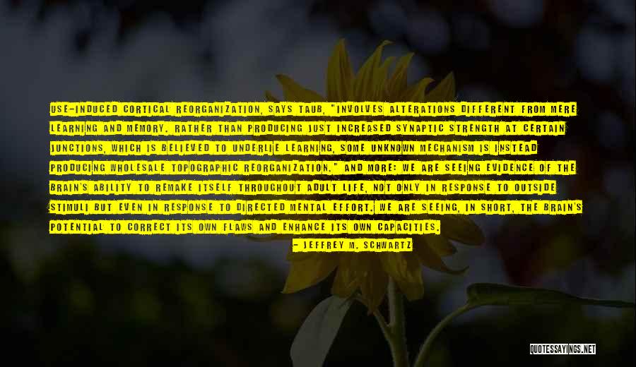Afrasiab Museum Quotes By Jeffrey M. Schwartz Afrasiab Museum Quotes By Jeffrey M. Schwartz