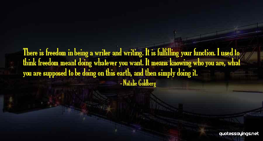 Afrasiyab Ruins Quotes By Natalie Goldberg Afrasiyab Ruins Quotes By Natalie Goldberg