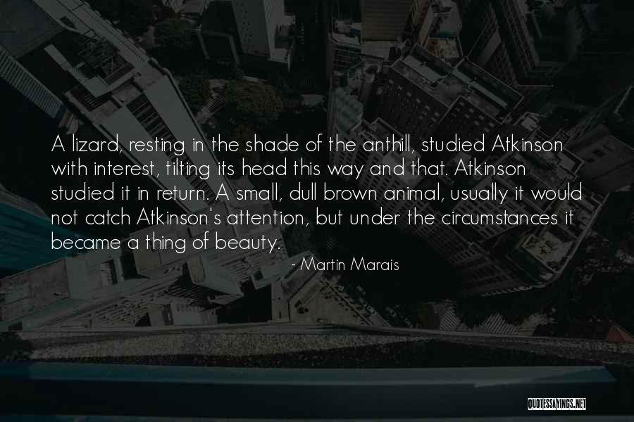 Africa Beauty Quotes By Martin Marais Africa Beauty Quotes By Martin Marais