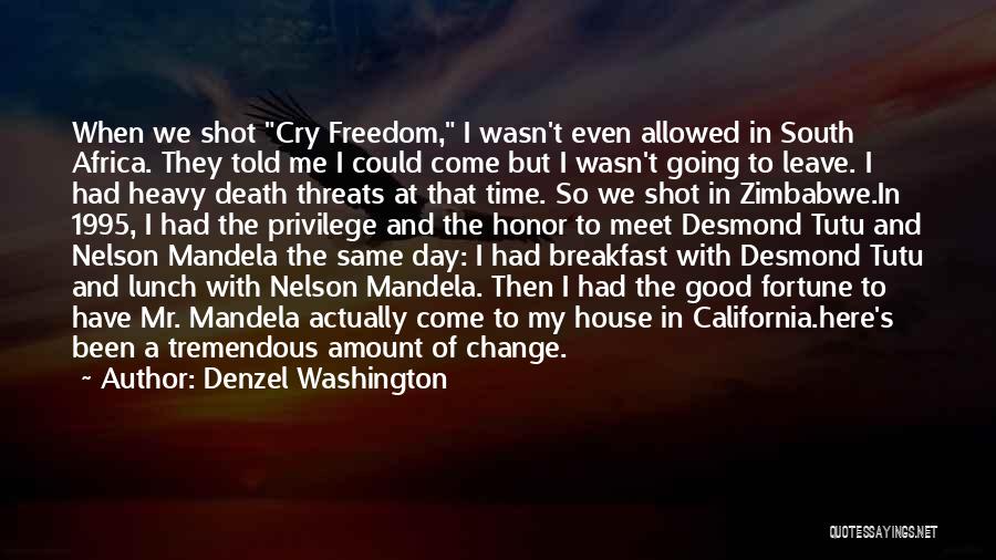 Africa Freedom Day Quotes By Denzel Washington