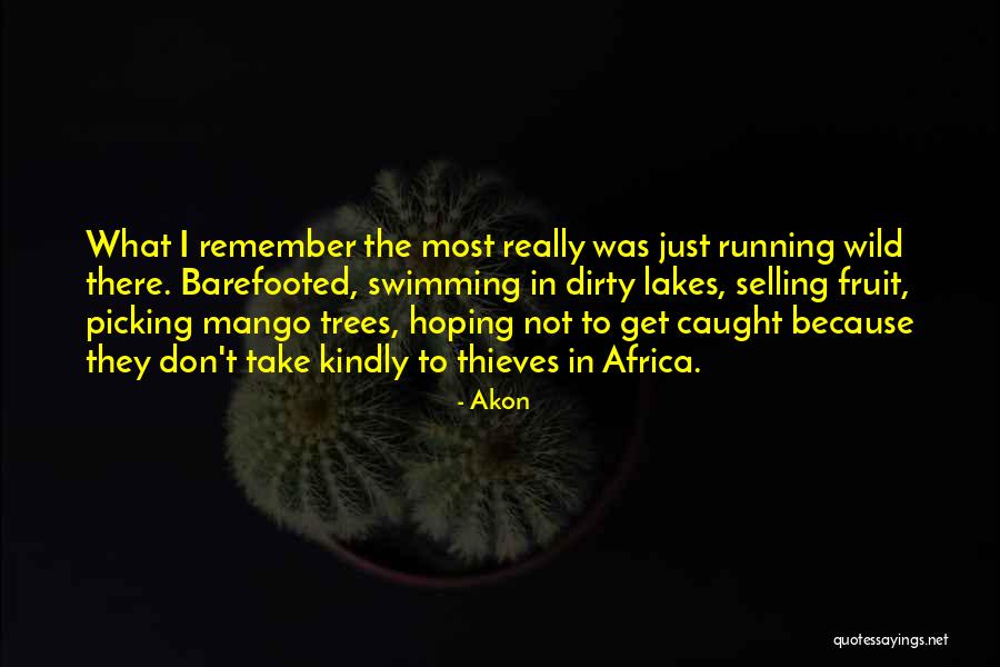 Africa Quotes By Akon Africa Quotes By Akon