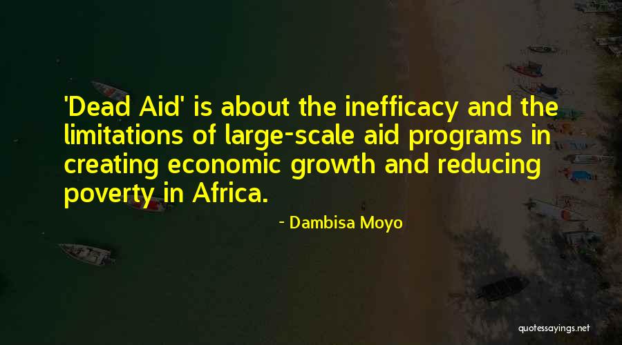 Africa Quotes By Dambisa Moyo