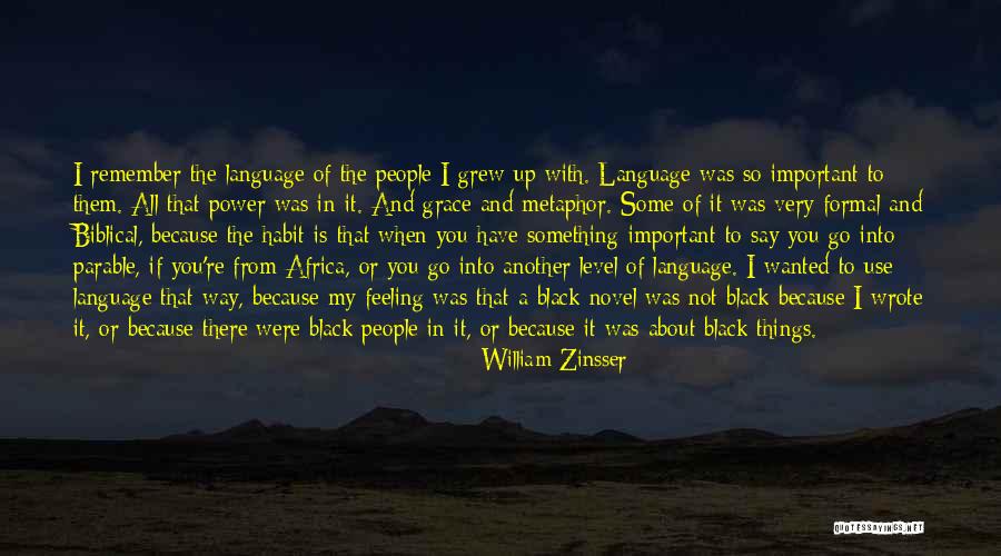 Africa Quotes By William Zinsser