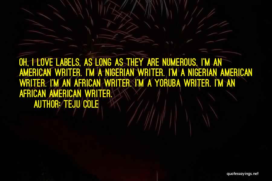 African American Self Love Quotes By Teju Cole