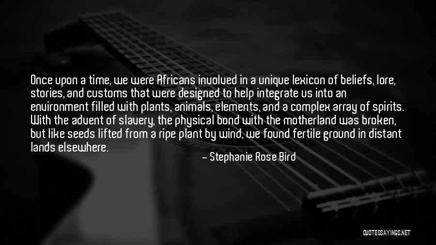 African American Slavery Quotes By Stephanie Rose Bird African American Slavery Quotes By Stephanie Rose Bird