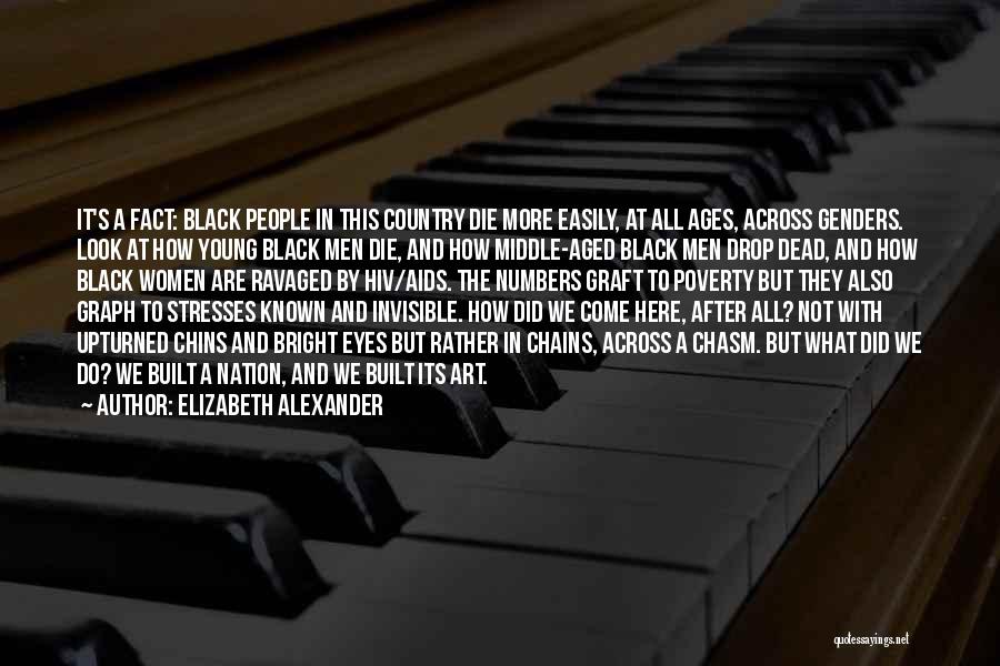 African Art Quotes By Elizabeth Alexander