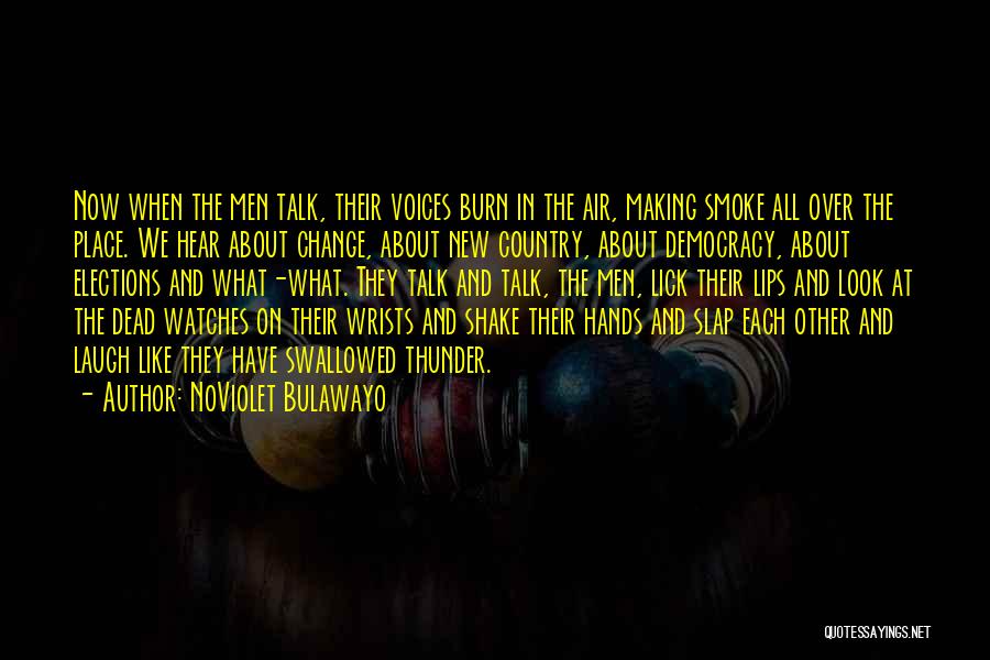 African Elections Quotes By NoViolet Bulawayo