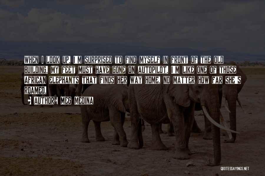 African Elephants Quotes By Meg Medina