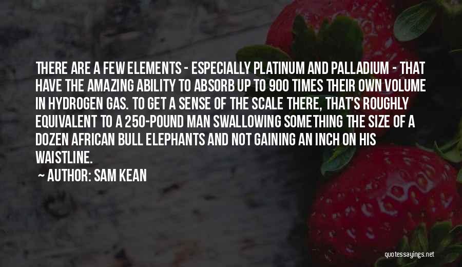 African Elephants Quotes By Sam Kean