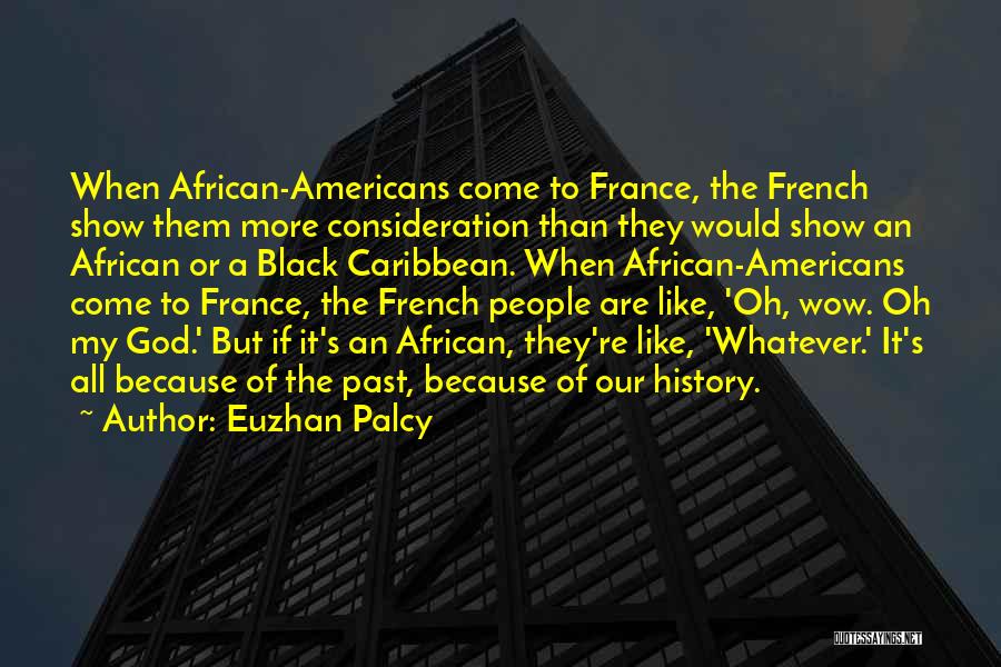 African History Quotes By Euzhan Palcy