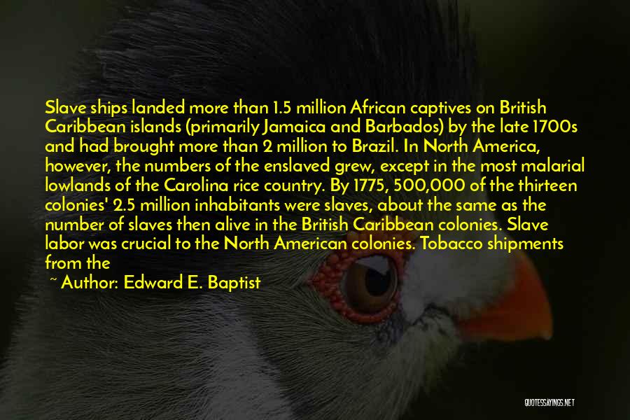 African Slaves Quotes By Edward E. Baptist