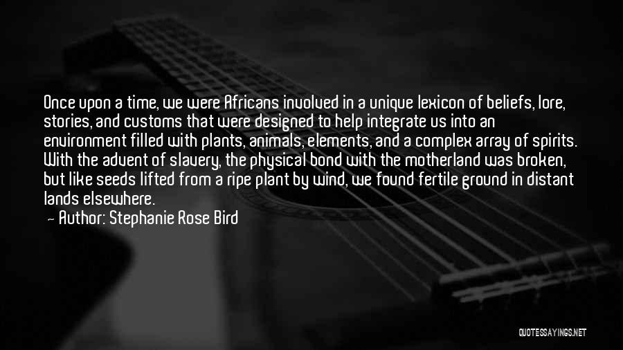 African Traditions Quotes By Stephanie Rose Bird