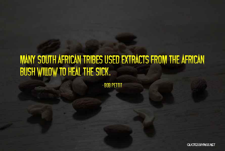 African Tribes Quotes By Bob Pettit